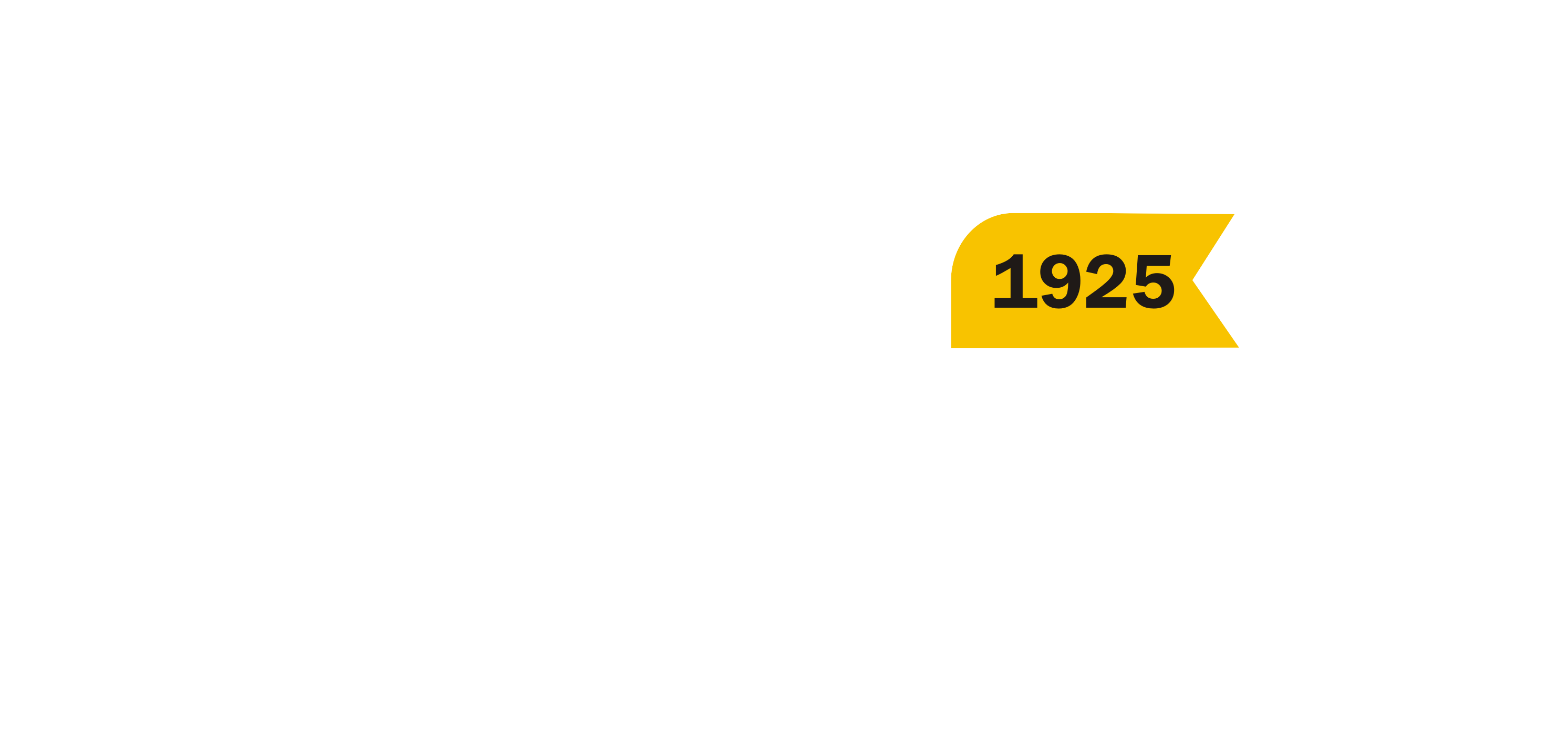 100 years of Valbruna